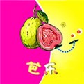 芭乐app最新下载网站进入ios
