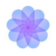 丁香花在线视频完整版免费