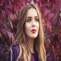 从性爱到玩F1：探索生活与速度的激情碰撞